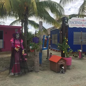 Hacienda La Catrina Isla Holbox